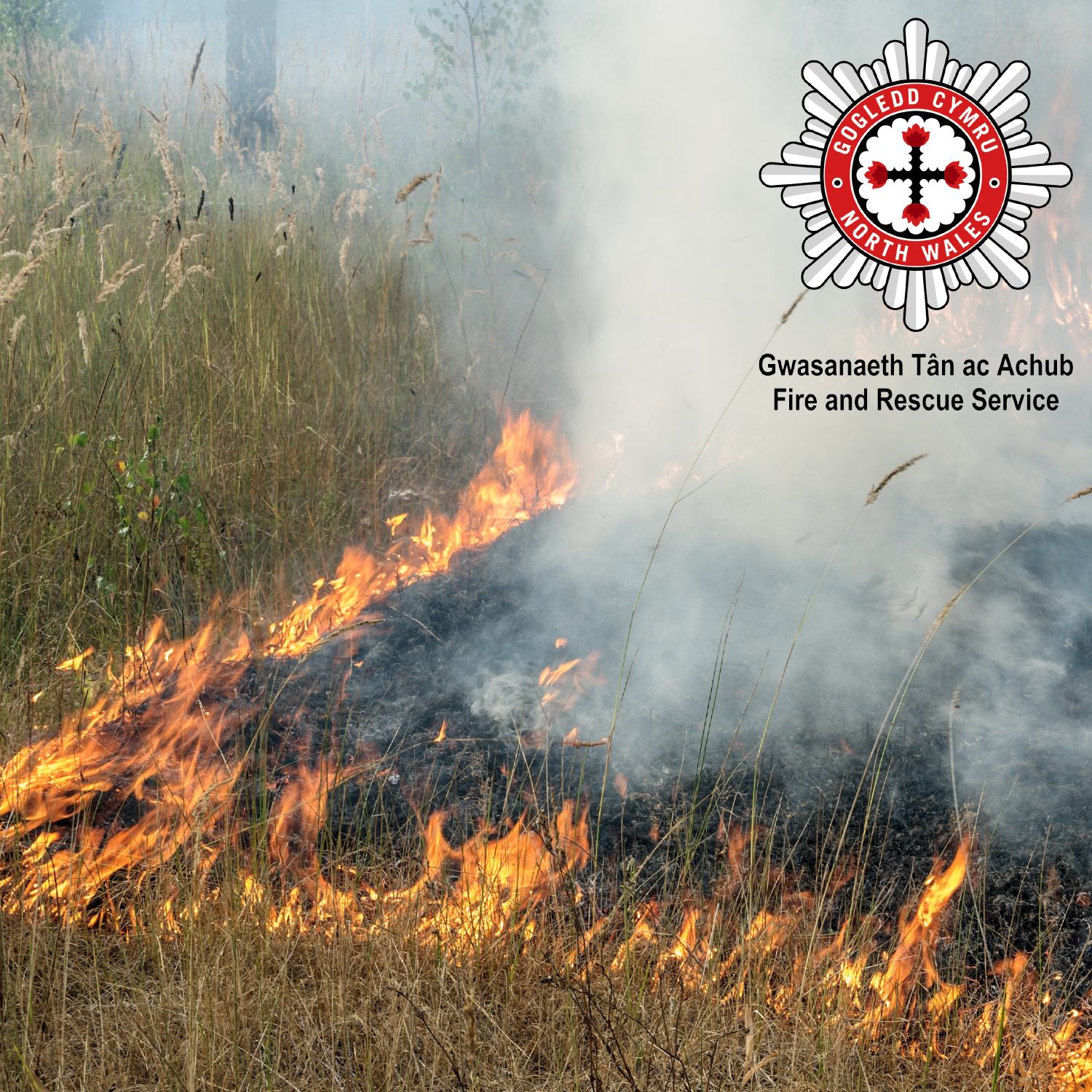 Controlled Burn Controlled Burn